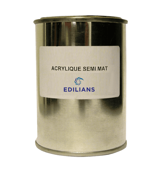 Paint 25cl main product photo